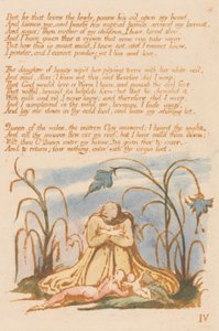The Book of thel，Plate 7，